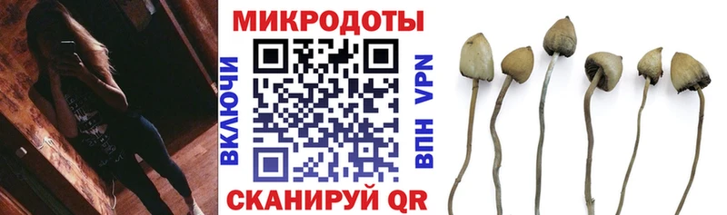 Псилоцибиновые грибы Psilocybine cubensis  хочу наркоту  Суворов 